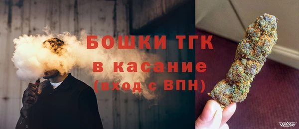 шишки Армянск
