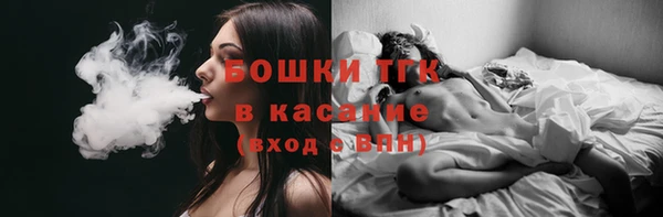 шишки Армянск