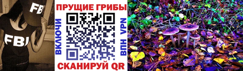 наркошоп  Пудож  Псилоцибиновые грибы Cubensis 